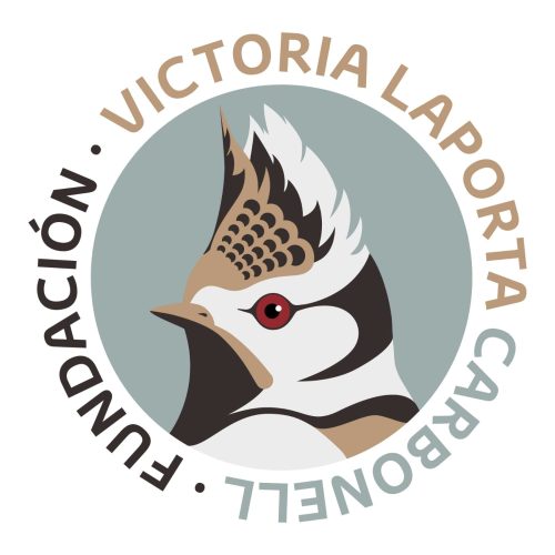 Fundación Victoria Laporta