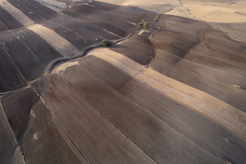 Ganadora / Winner - Juego Macabro, de Félix Morlán