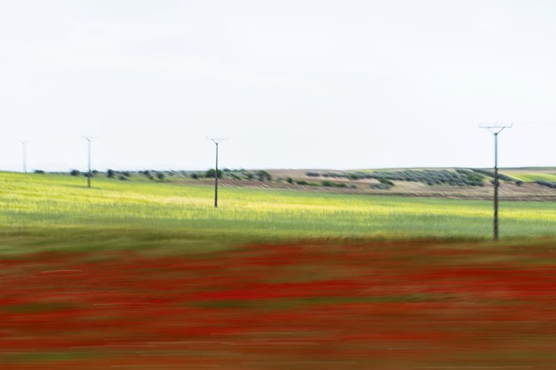 Ganadora: Regeneración José Manuel Azcona Gutiérrez